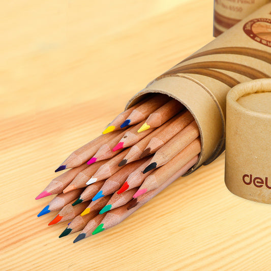 Painting Color pencils - MentorG Store